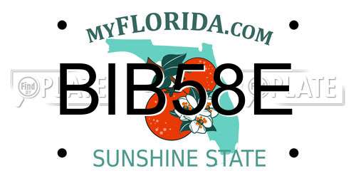 BIB58E Florida License Plate