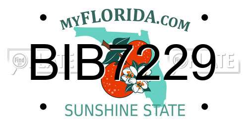 BIB7229 Florida License Plate