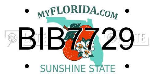 BIB7729 Florida License Plate