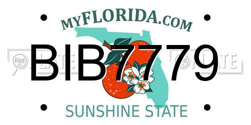BIB7779 Florida License Plate