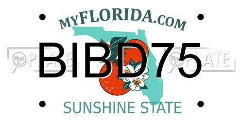 BIBD75 Florida License Plate