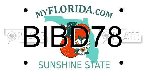 BIBD78 Florida License Plate