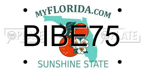 BIBE75 Florida License Plate