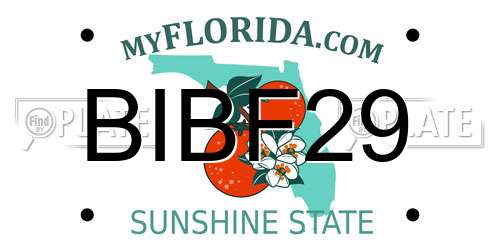 BIBF29 Florida License Plate