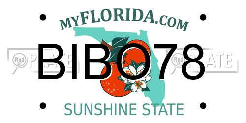 BIBO78 Florida License Plate