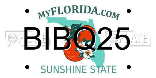 BIBQ25 Florida License Plate