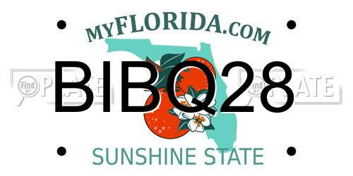 BIBQ28 Florida License Plate