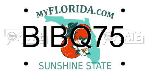 BIBQ75 Florida License Plate