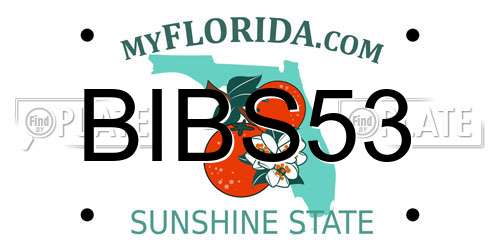 BIBS53 Florida License Plate