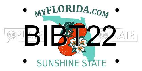 BIBT22 Florida License Plate