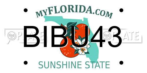 BIBU43 Florida License Plate