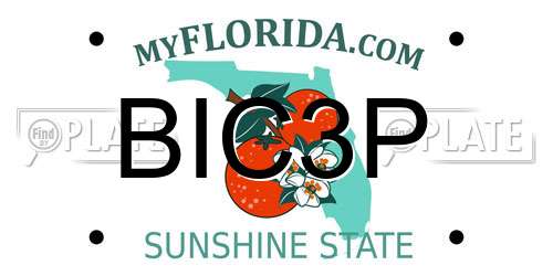 BIC3P Florida License Plate