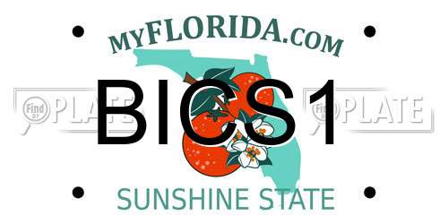 BICS1 Florida License Plate
