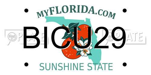BICU29 Florida License Plate