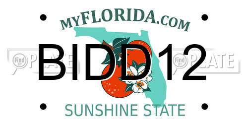 BIDD12 Florida License Plate