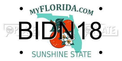 BIDN18 Florida License Plate