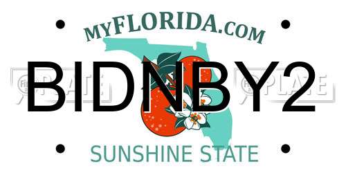 BIDNBY2 Florida License Plate