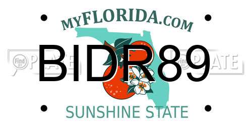 BIDR89 Florida License Plate