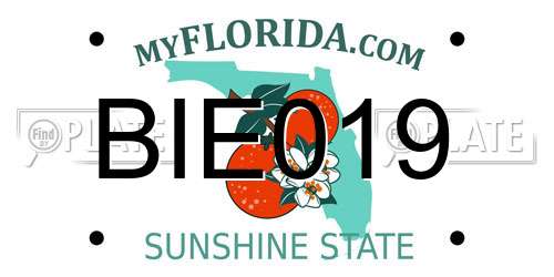BIE019 Florida License Plate