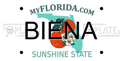 BIENA Florida License Plate