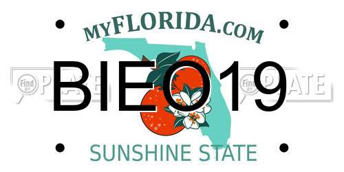 BIEO19 Florida License Plate