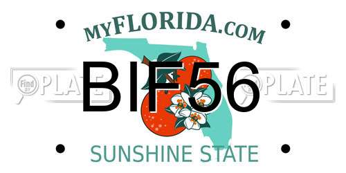 BIF56 Florida License Plate