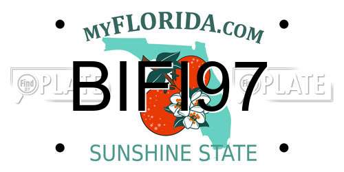 BIFI97 Florida License Plate