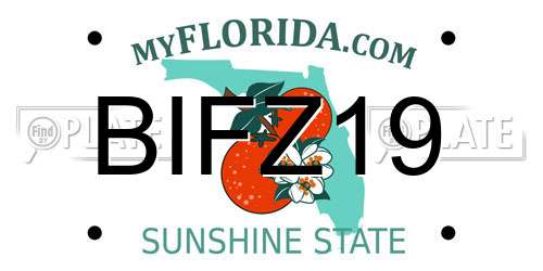 BIFZ19 Florida License Plate