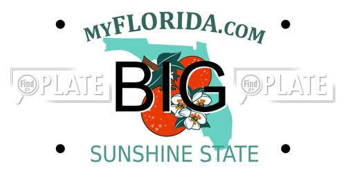BIG Florida License Plate