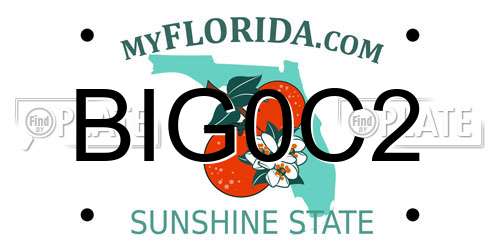BIG0C2 Florida License Plate