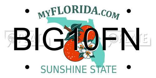 BIG10FN Florida License Plate