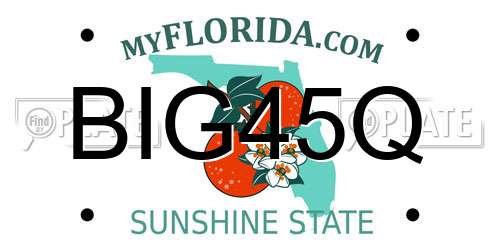BIG45Q Florida License Plate
