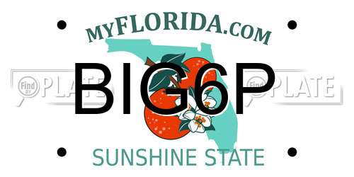 BIG6P Florida License Plate