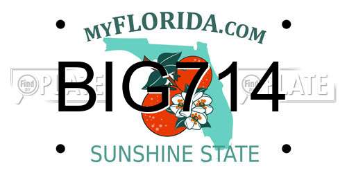 BIG714 Florida License Plate