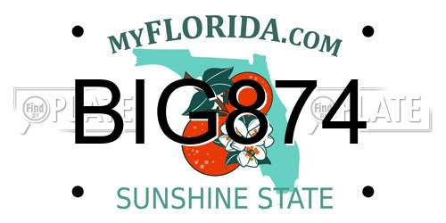 BIG874 Florida License Plate