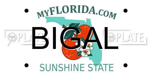 BIGAL Florida License Plate