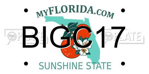 BIGC17 Florida License Plate
