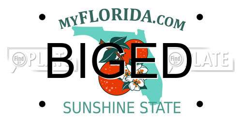 BIGED Florida License Plate