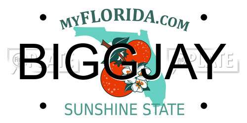 BIGGJAY Florida License Plate