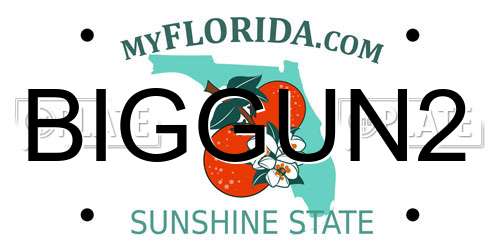 BIGGUN2 Florida License Plate