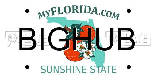 BIGHUB Florida License Plate