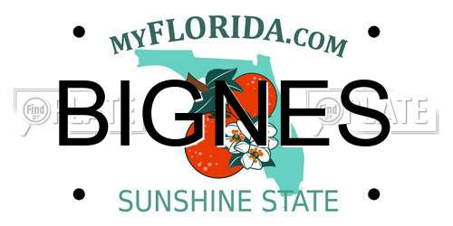 BIGNES Florida License Plate