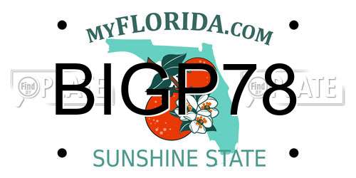 BIGP78 Florida License Plate