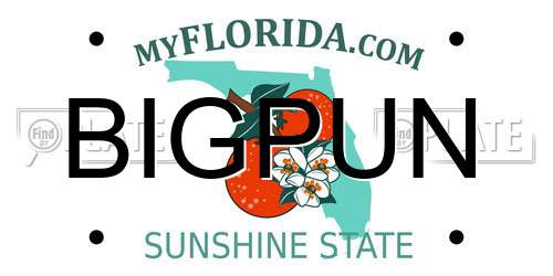 BIGPUN Florida License Plate