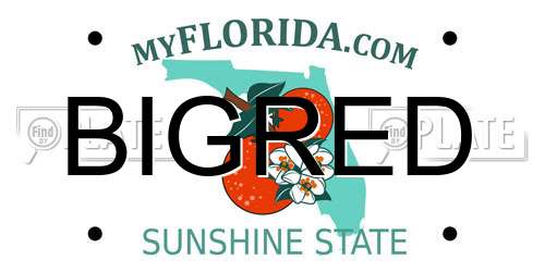 BIGRED Florida License Plate