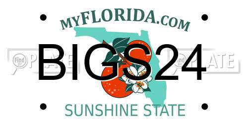 BIGS24 Florida License Plate