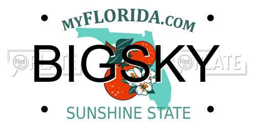 BIGSKY Florida License Plate