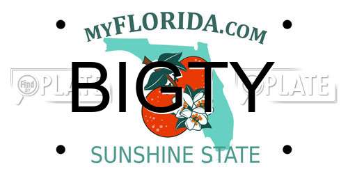BIGTY Florida License Plate