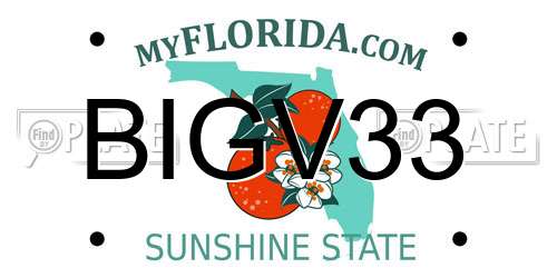 BIGV33 Florida License Plate
