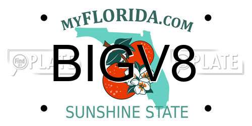 BIGV8 Florida License Plate